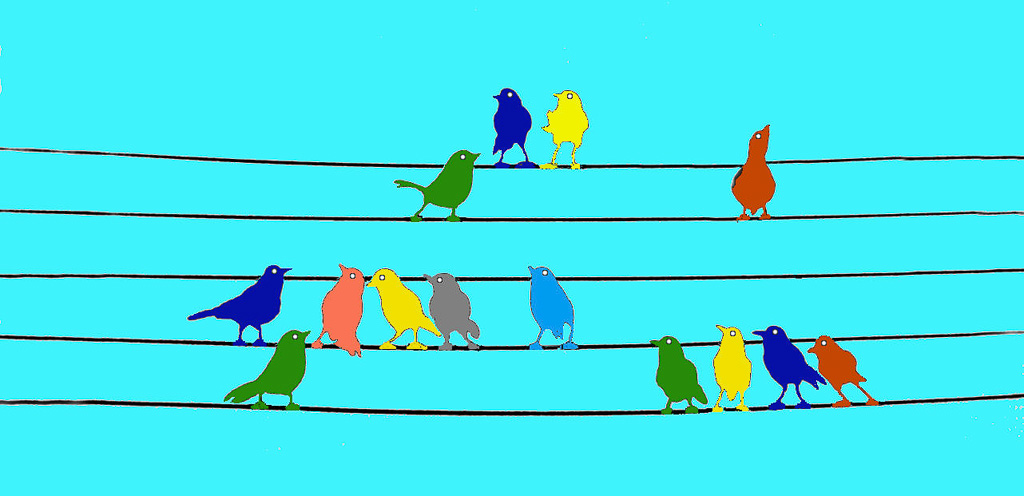 Bird-Chorus--1.jpg