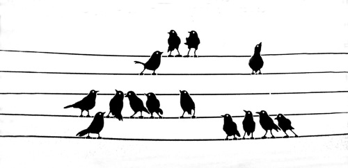 Bird-Chorus--2.jpg