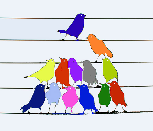 Bird-Chorus--3.jpg