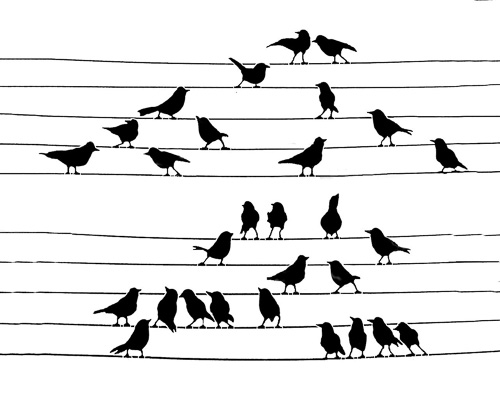 Musical-Birds--1.jpg