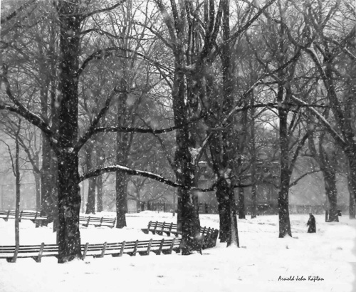 Boston-Common-Winter-2.jpg