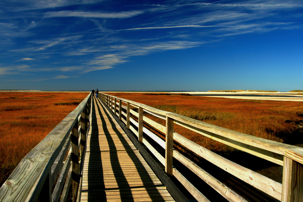 Bass-Hole-Boardwalk.jpg