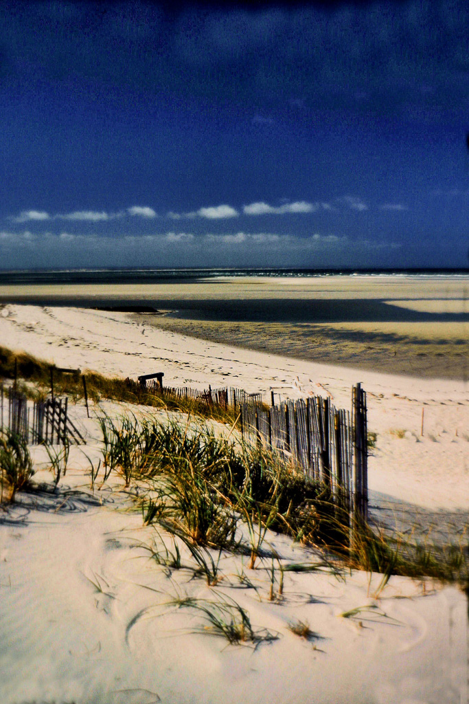 Beach-At-Low-Tide.jpg