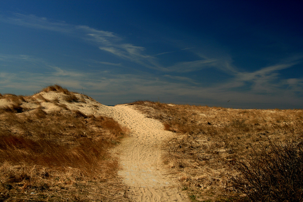 Beach-Path.jpg