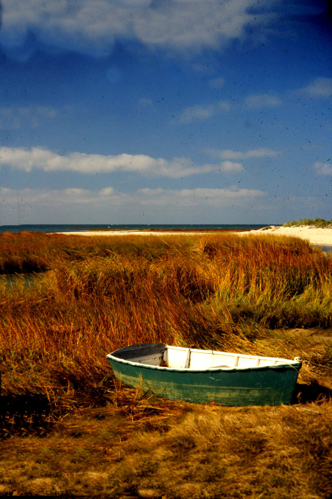 Lonly-Boat-On-Marsh.jpg
