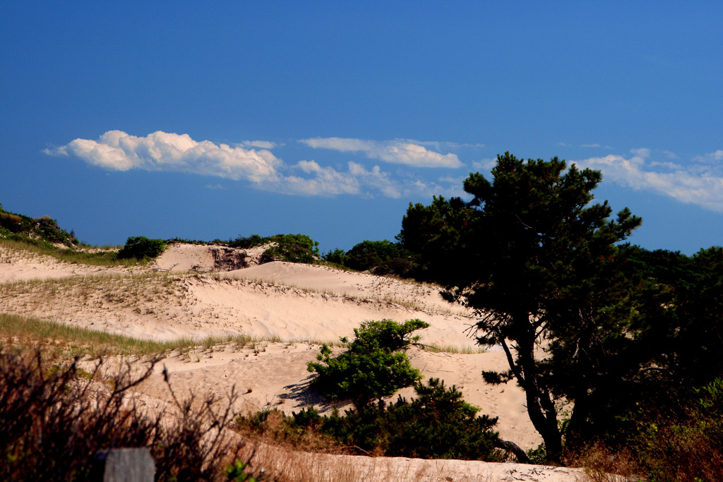 P-Town-Sand-Dune--2.jpg