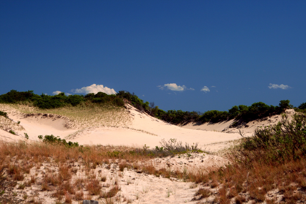 P-Town-Sand-Dune.jpg