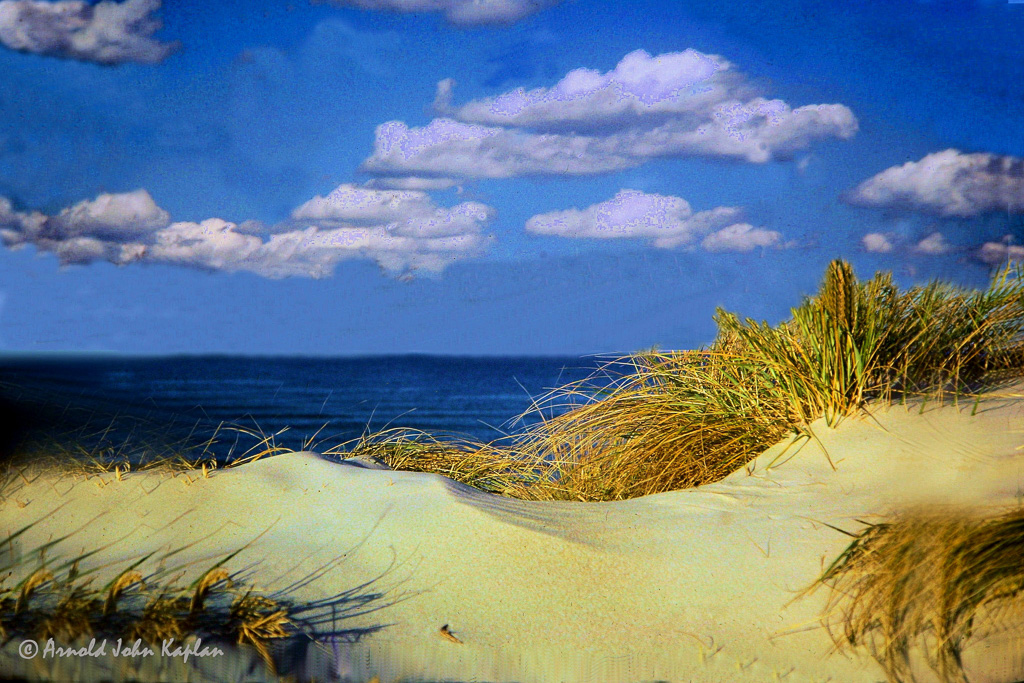 Sand-Dune-Grass.jpg