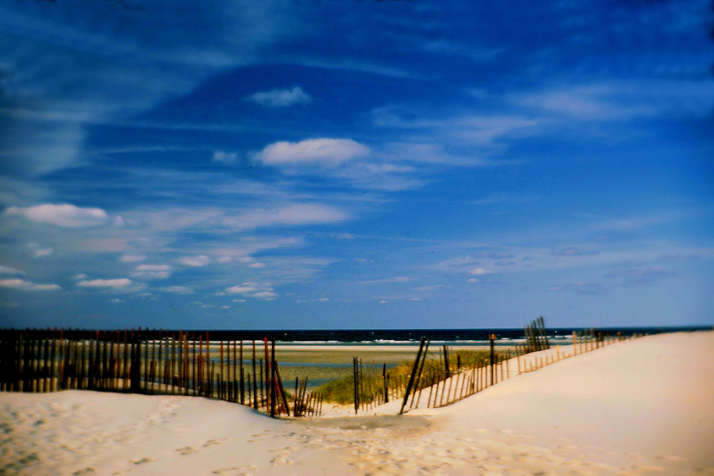 Sand-Fence-Entrance.jpg