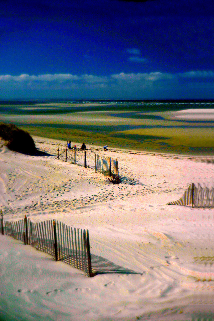 Sand-Fences-At-Low-Tide.jpg