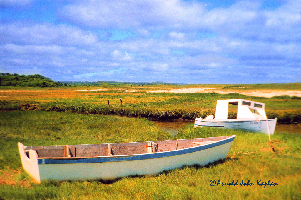 Two-Boats-On-Marsh--2.jpg