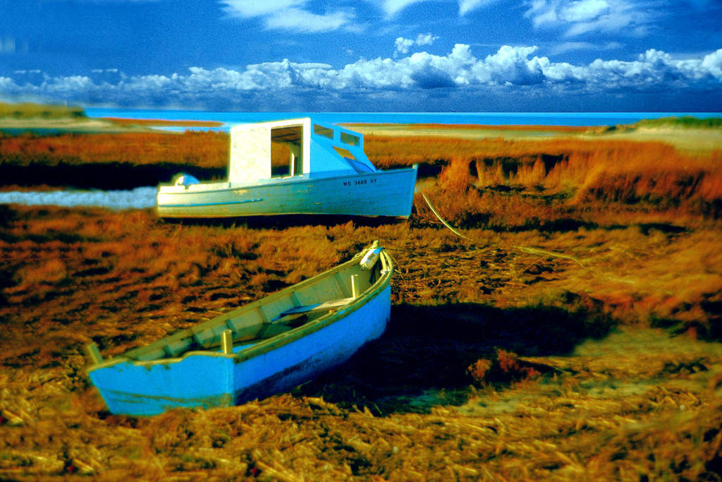 Two-Boats-On-Marsh.jpg