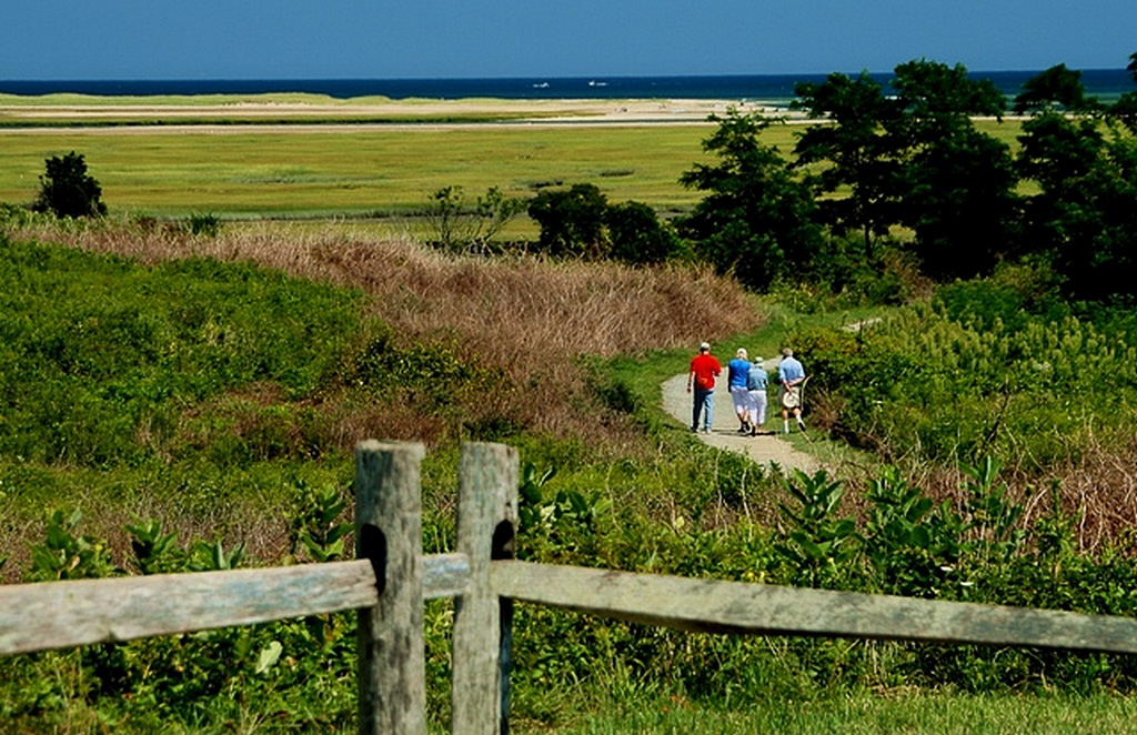 Walkway-to-Marshes.jpg