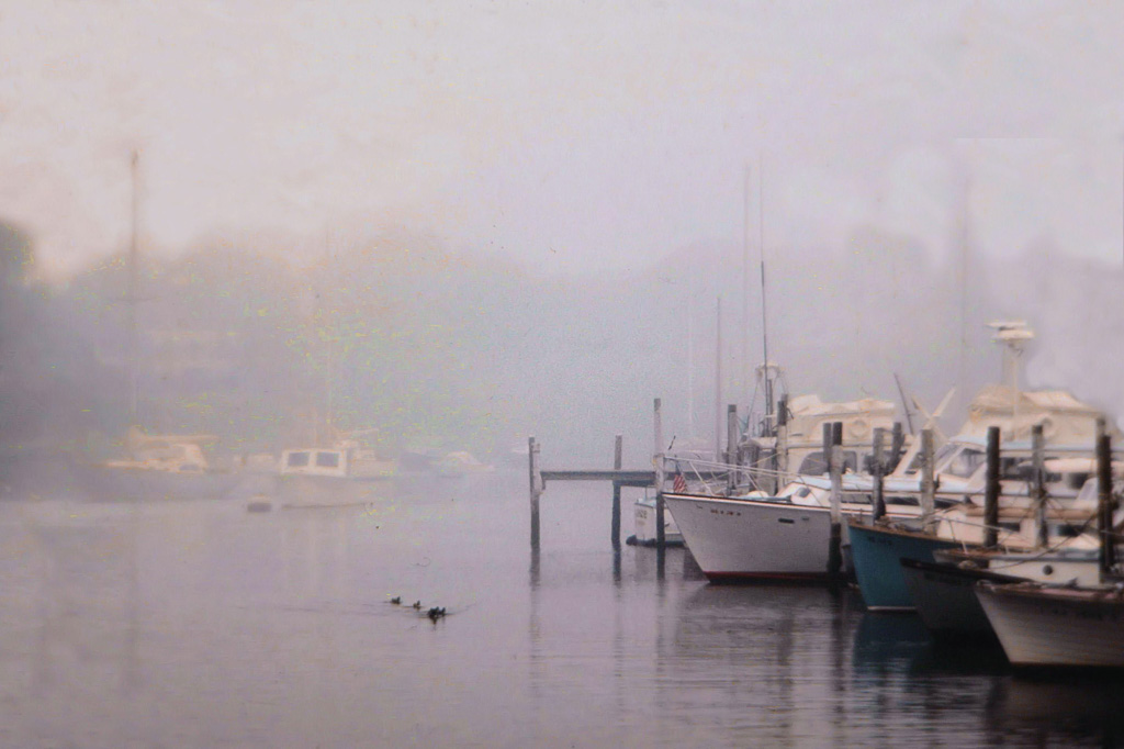 Wychmere-Harbor-In-Fog-.jpg