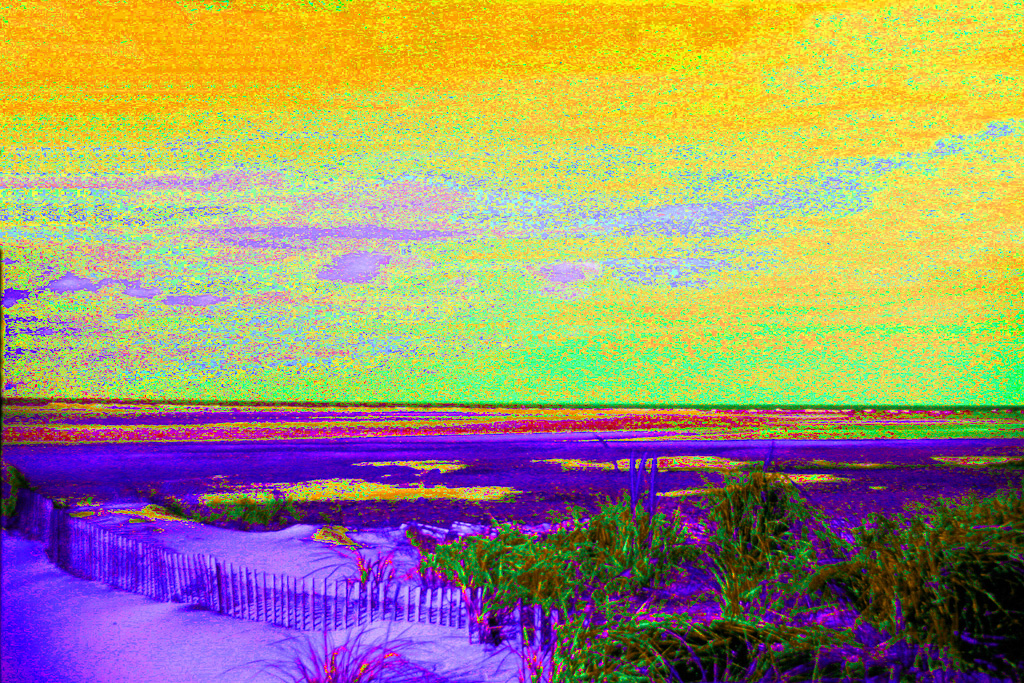 Yellow-Sky-Marsh.jpg