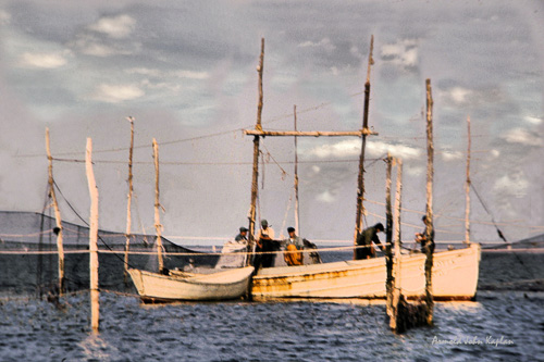 Fish-Weir.jpg
