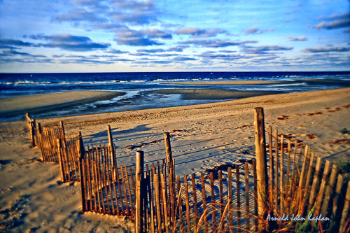 Sand-Fence--3.jpg