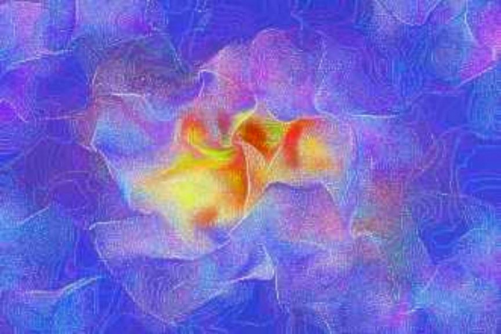 Flower-Image.jpg