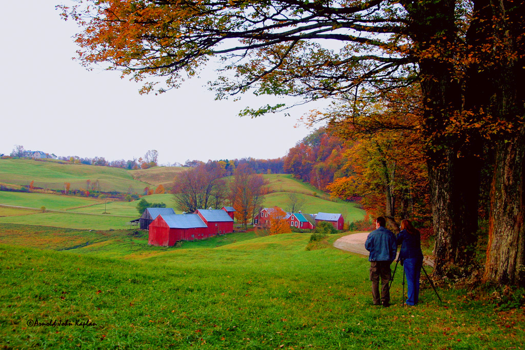 Surveying-The-Scene-At-The-Jenne-Farm.jpg