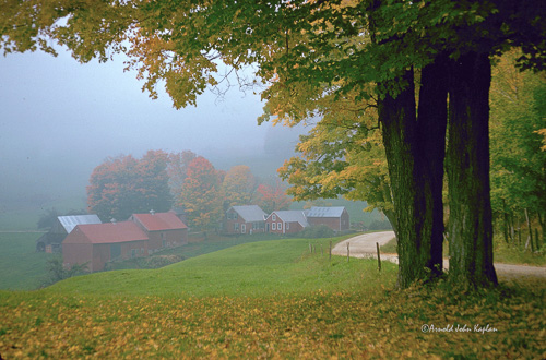 Jenne-Farm-In-Fog.jpg