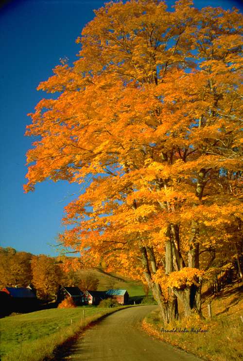 Jenne-Farm-In-Full-Color.jpg