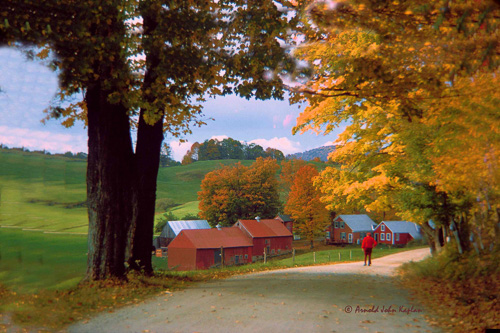 Road-To-The-Jenne-Farm.jpg