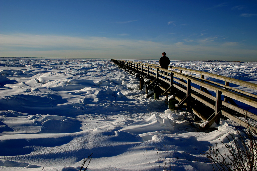 Boardwalk-At-Bass-Hole-Cape-Cod.jpg