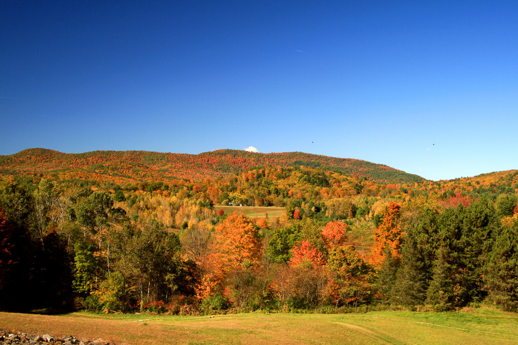 Fall-Foliage-Vermont.jpg