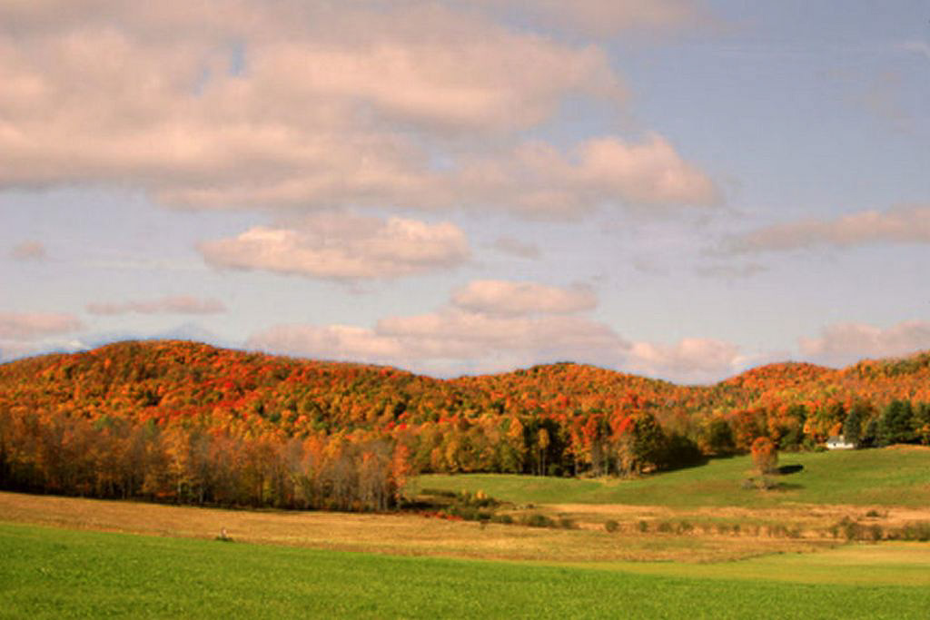 Grandma-Moses-Hills.jpg