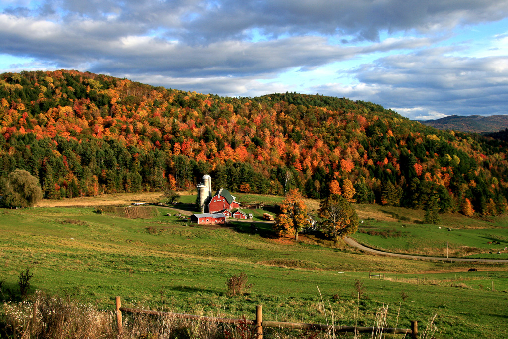 Hillside-Acres-Farm.jpg