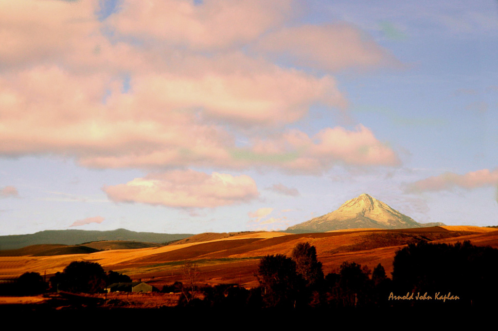 Mt-Hood-And-Wheat-Fields,-Oregon.jpg