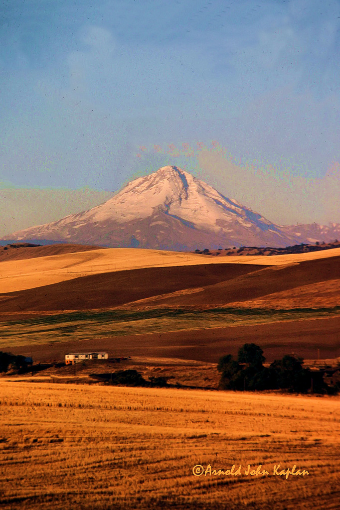 Mt-Hood-And-Wheat-Fields.jpg