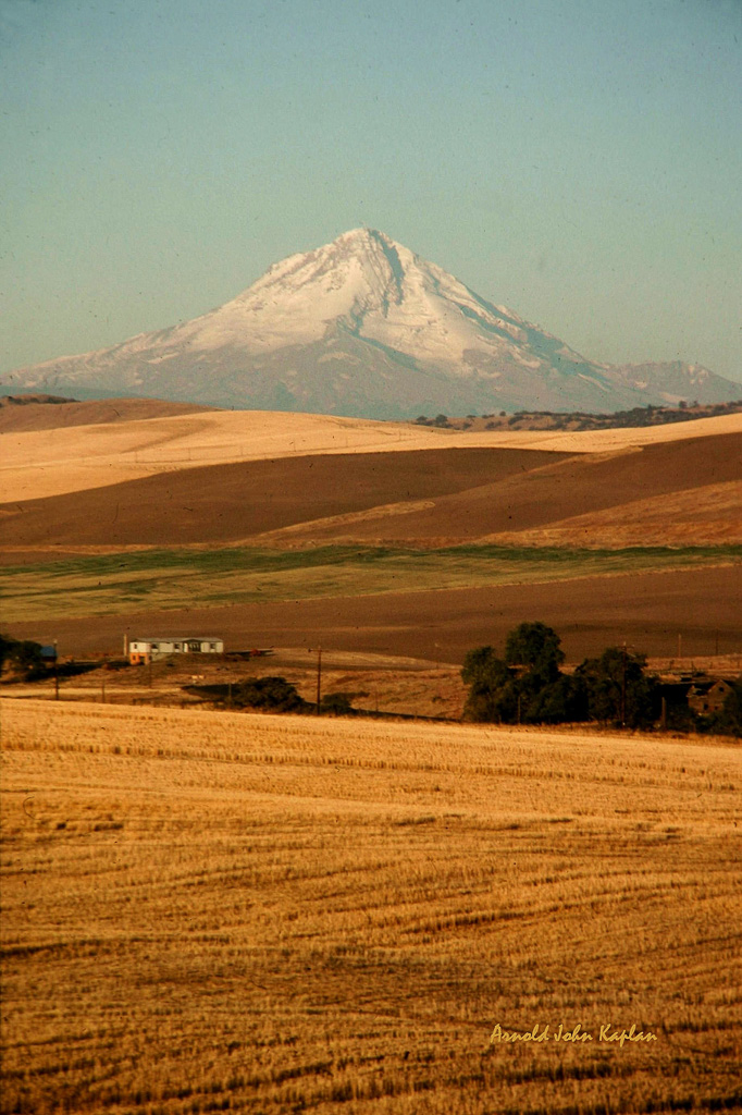 Mt-Hood-and-Wheat-Fields_0018-300dpi.jpg