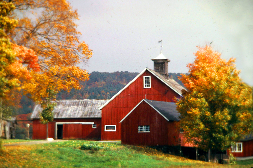 Red-Barns--2.jpg