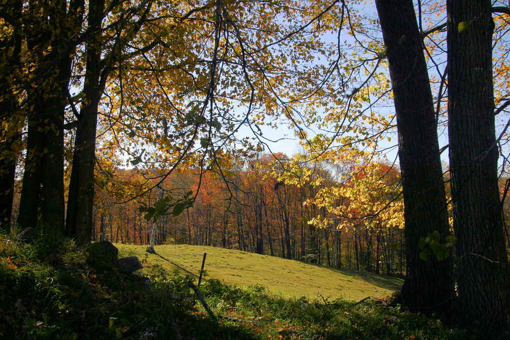 Vt-Foliage-Scene.jpg