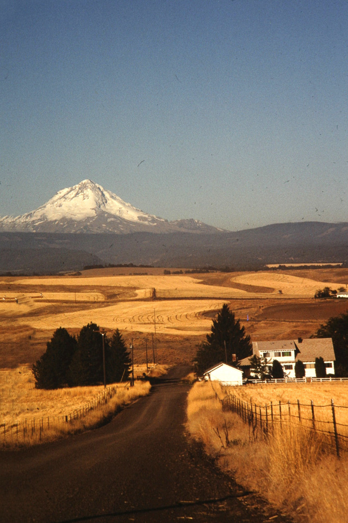 X-Mt-Hood-And-Wheat-Fields--2.jpg