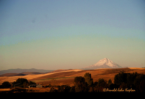 Mt-Hood-And-Wheat-Fields--3.jpg