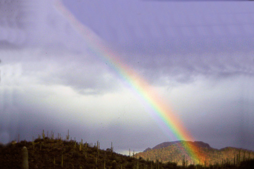 Rainbow-Saguaro-Natl-Park.jpg
