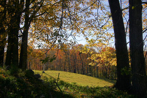 Vt-Foliage-Scene.jpg