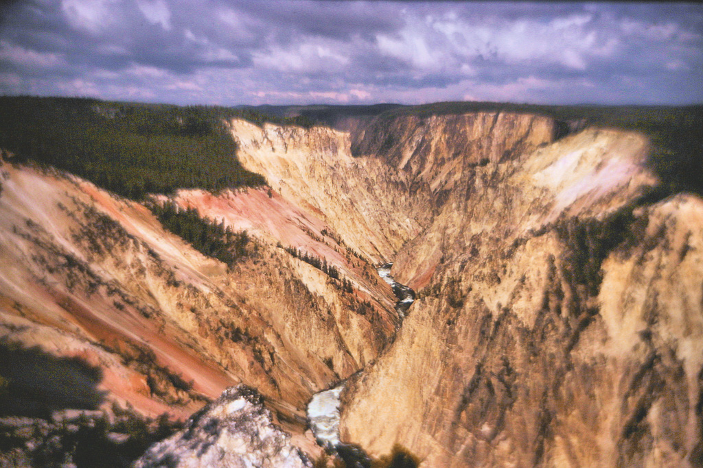 Z-Grand-Canyon-Of-Yellowstone--1_0166.jpg