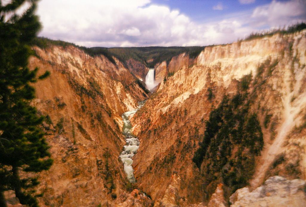 Z-Grand-Canyon-Of-Yellowstone-5_0139.jpg
