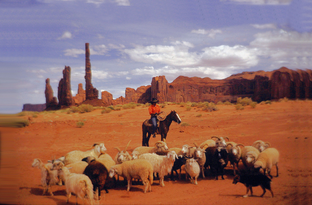 Z-Monument-Valley--16-Sheep-Herder_258.jpg