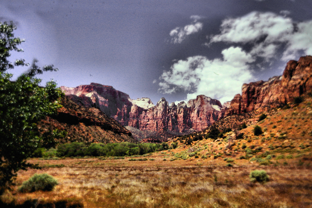 Zion-16.jpg