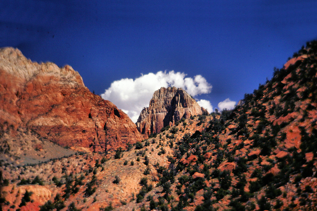 Zion11.jpg