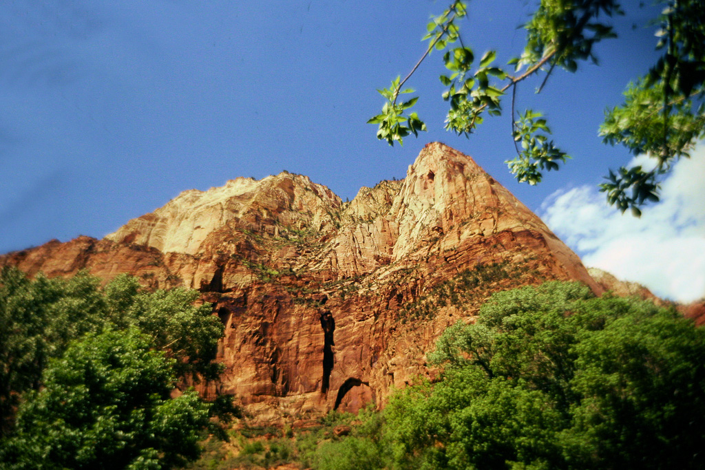 Zion12.jpg