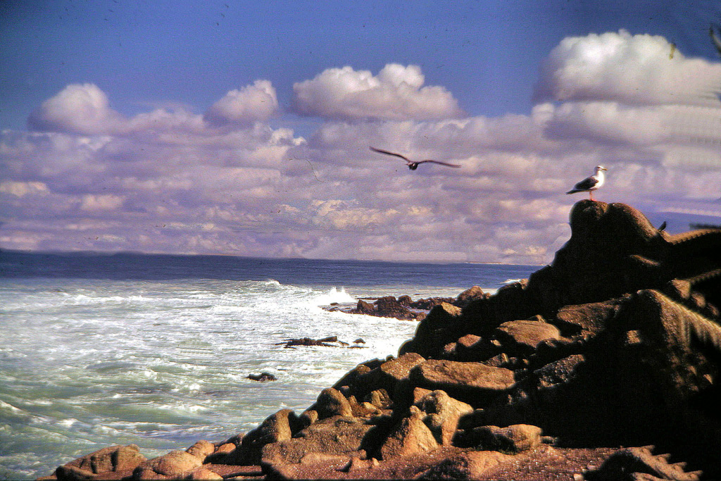 Calif-Coastline.jpg