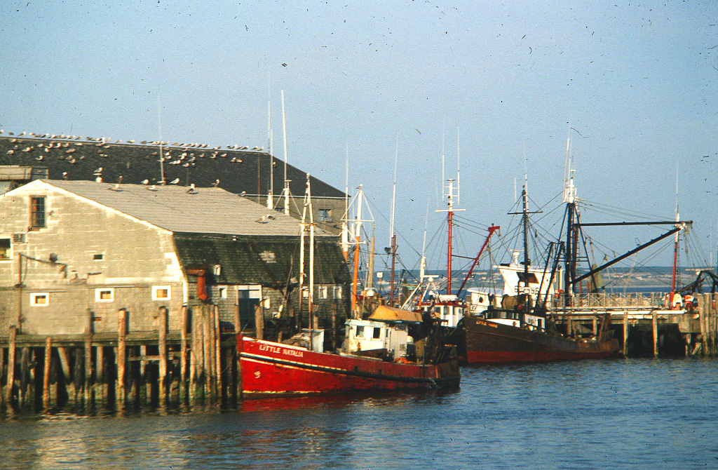 Fishing-Boat-At-Wharf.jpg