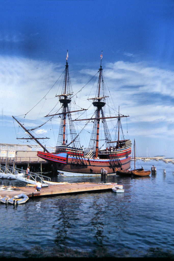 Mayflower--22.jpg
