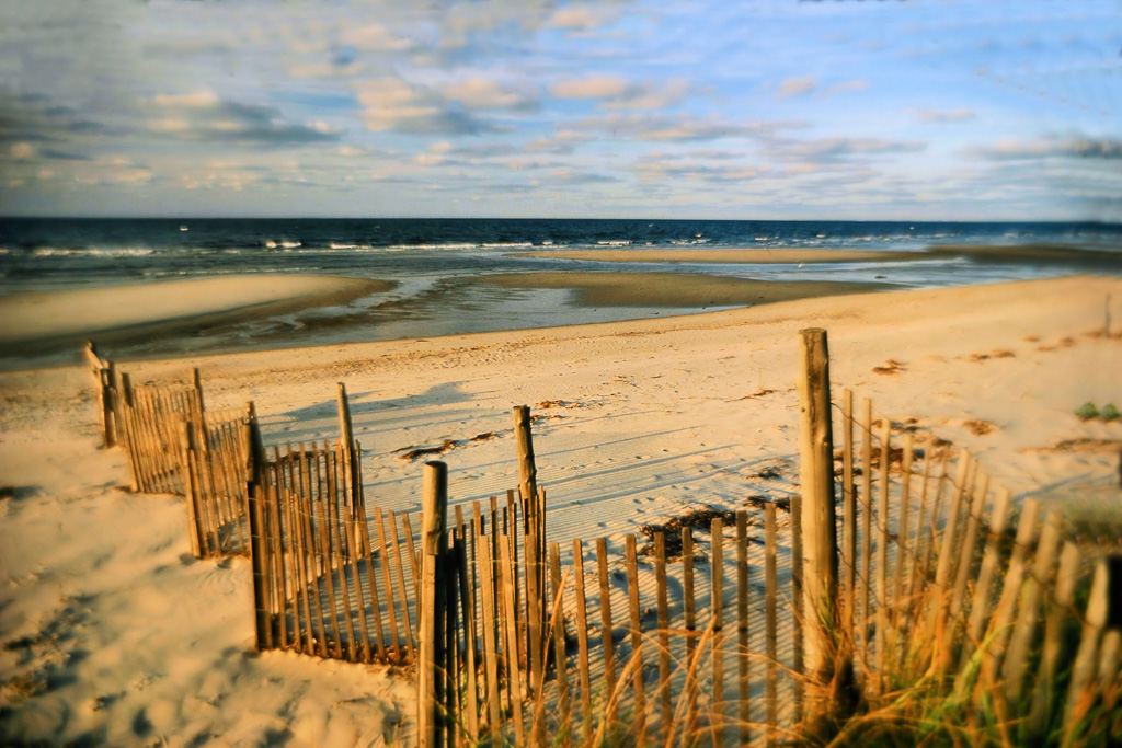Sand-Fence.jpg