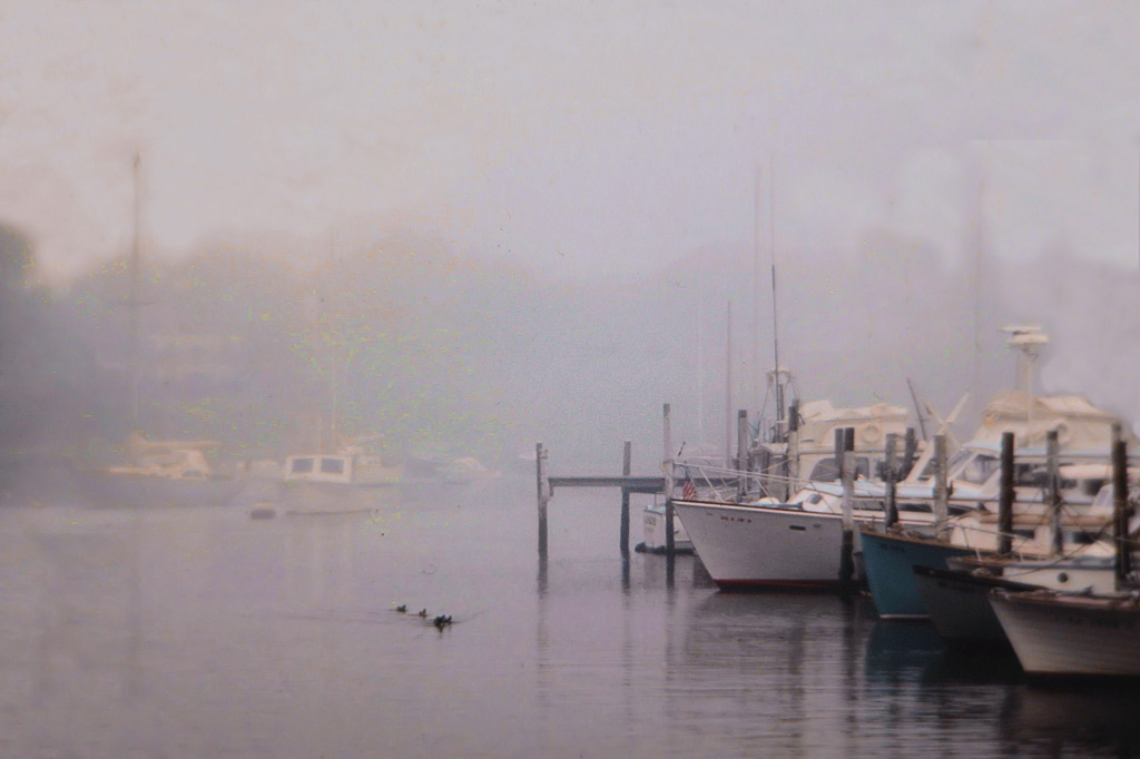 Wychmere-Harbor-Fog.jpg